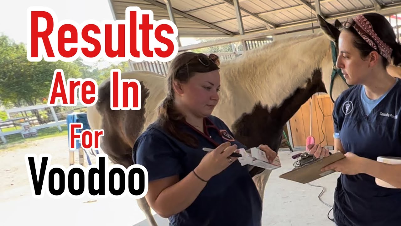 Vet Update: NOT What We Expected to Hear