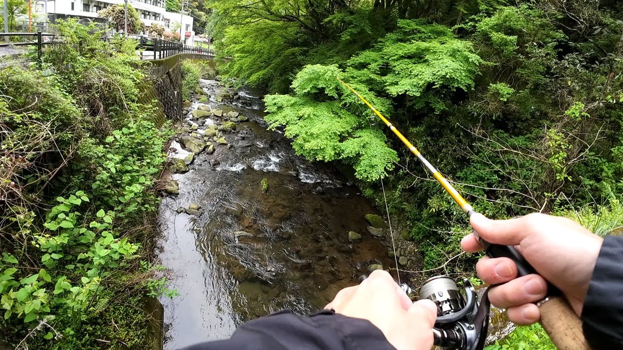 湯河原の川はどうなのか？