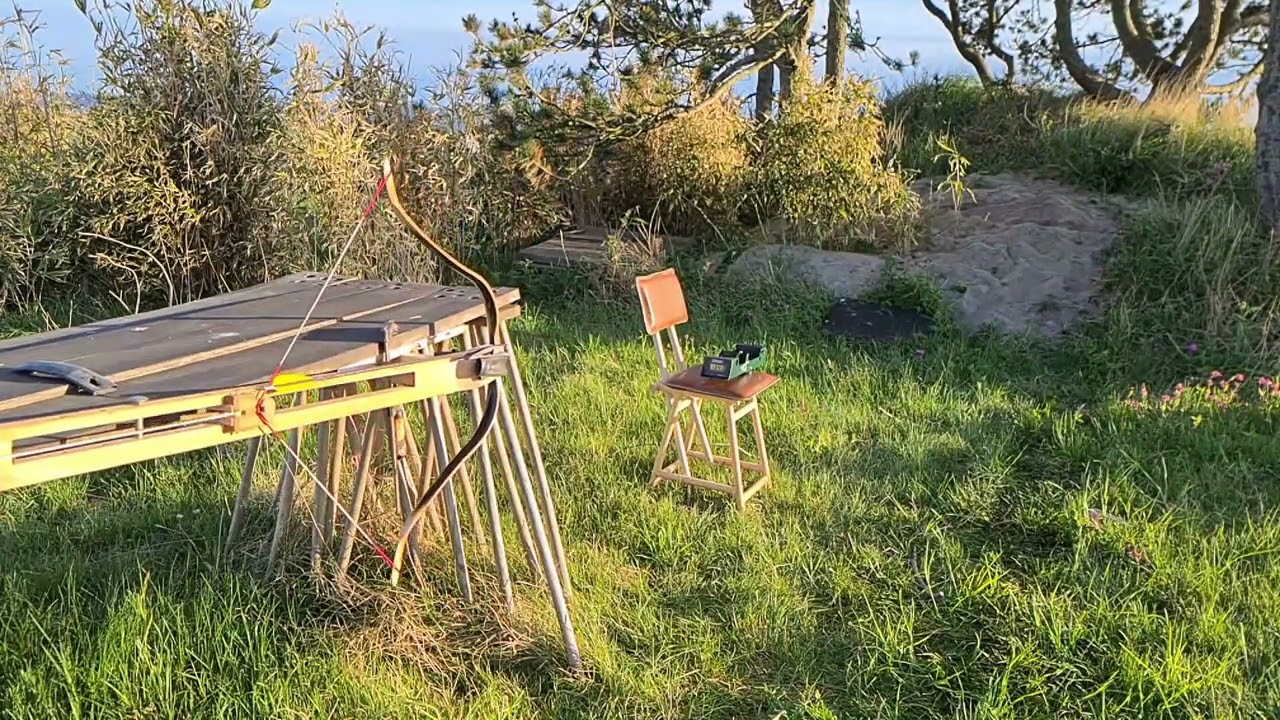 339 fps Turkish flight bow