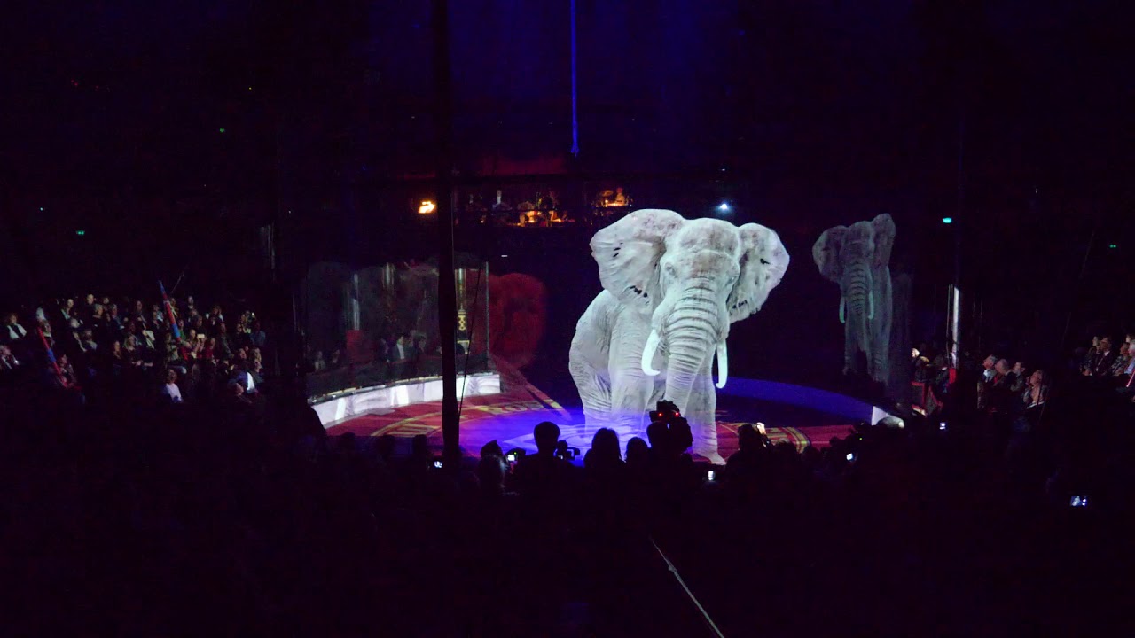 Circus Roncalli holoMANEGE from blueBOX and TagTraum with Optoma Laserbeamer