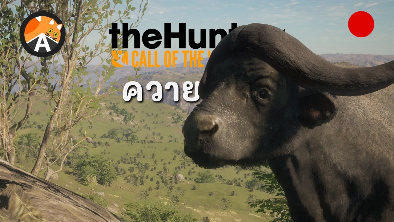 🔴 ควาย - The Hunter Call of the Wild