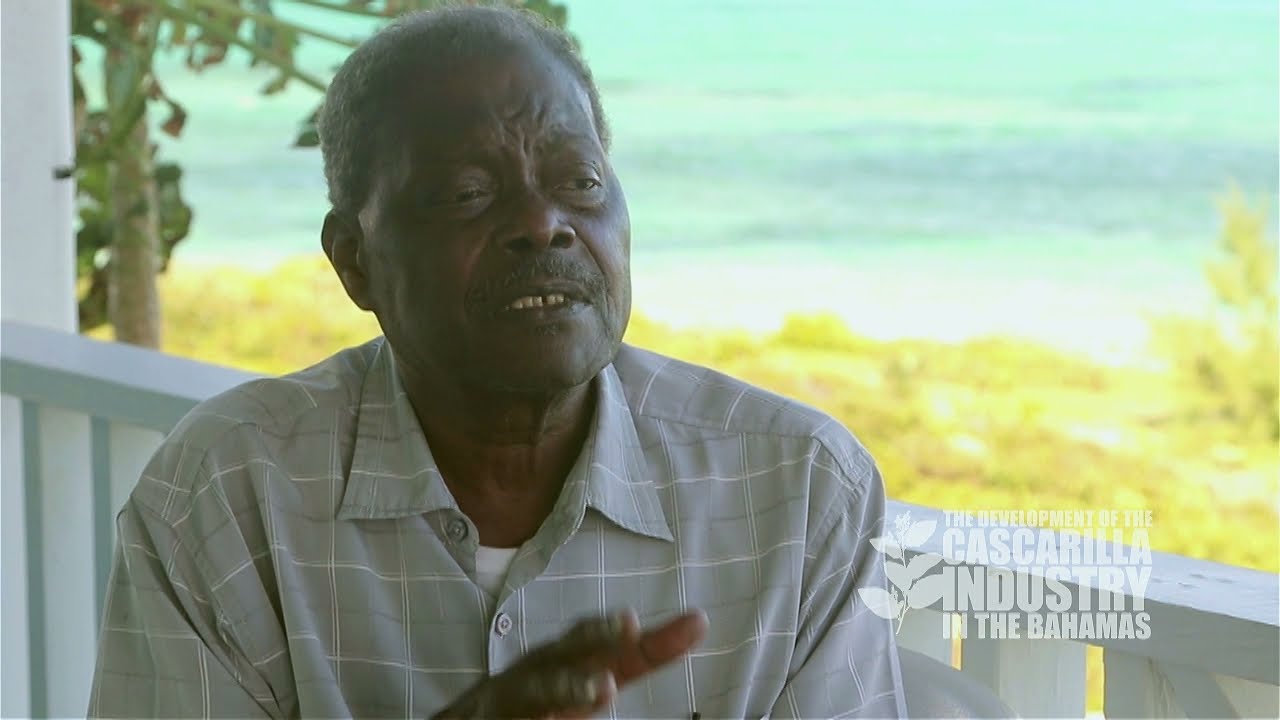Pine Islands Project: Sustainable Harvesting Of Cascarilla