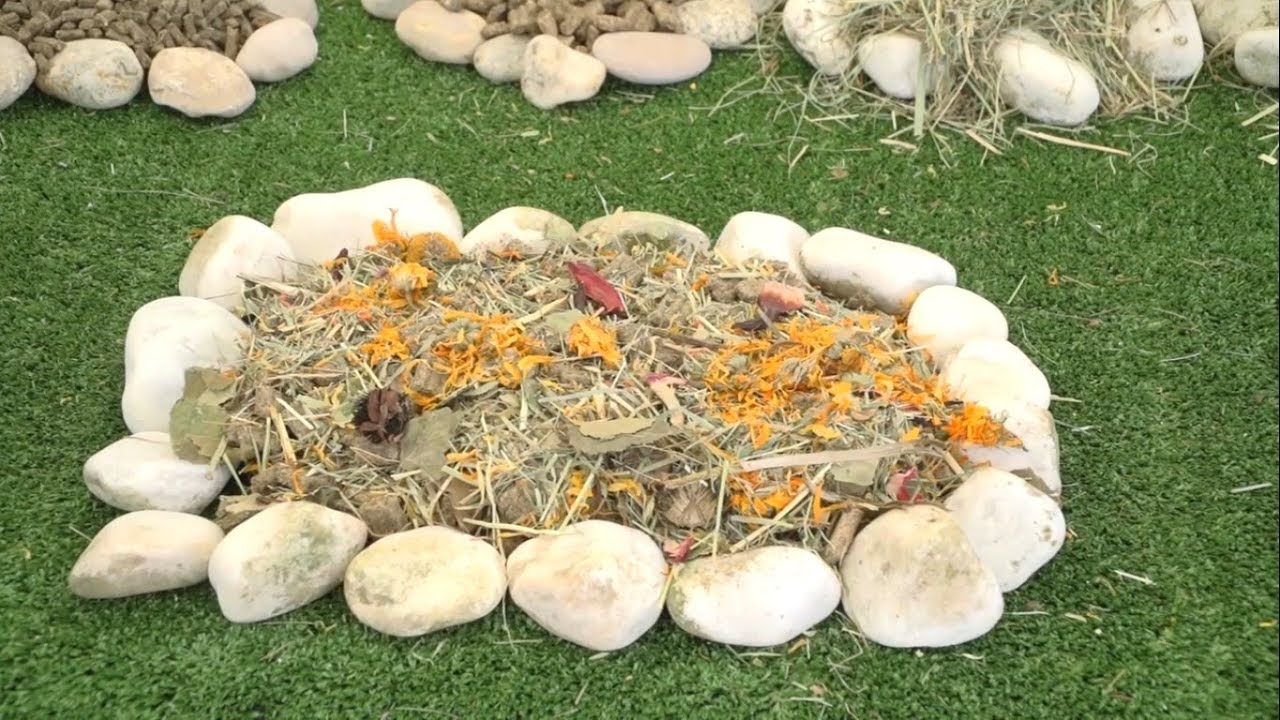 NATURALISS &ndash; Naturalna karma dla gryzoni i zajęczak&oacute;w