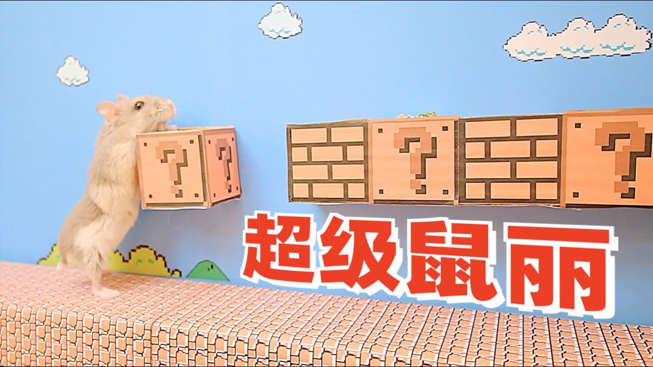 给仓鼠做了个超级玛丽迷宫，完美复刻超级玛丽第一关！