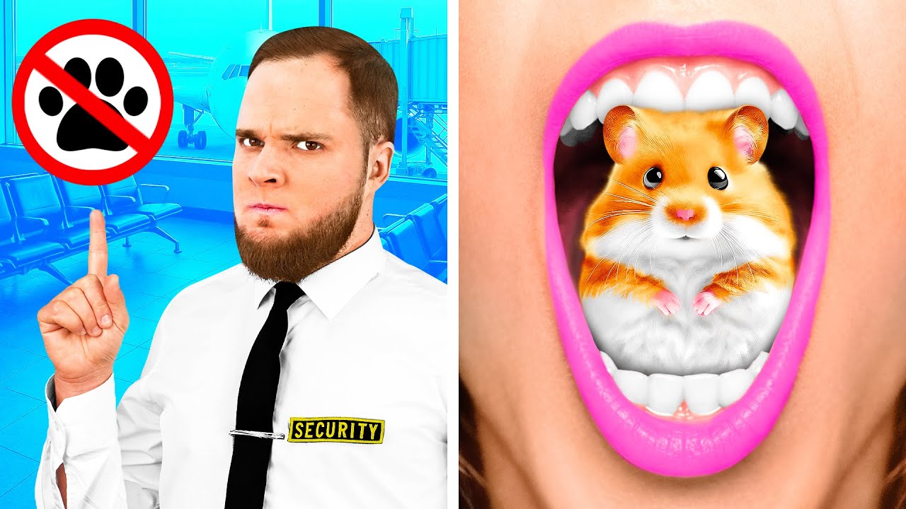 Comment Emporter Des Animaux Dans Un Avion | Guerres de Farces par Challenge Fun