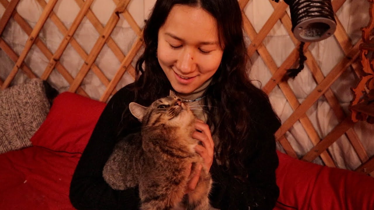 ASMR Massaging the MOST Affectionate & Demanding Cat Taxi | Maximum Purring Sounds