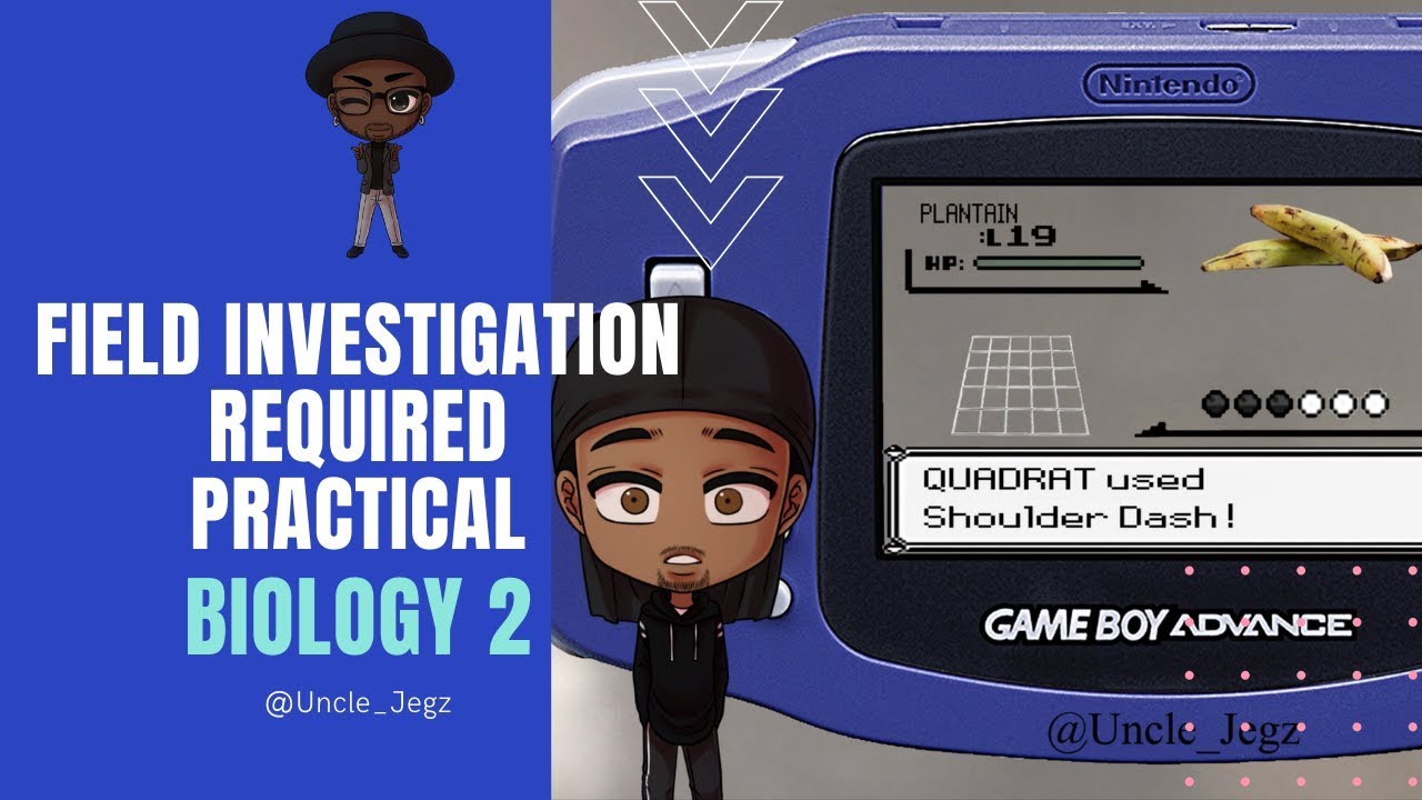 Field investigation Required Practical ~ GCSE Biology Paper 2
