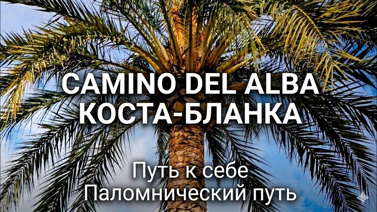 Camino del Alba👣 Часть паломнического пути вдоль Хесус Побре 🌳 Испания 🇪🇸