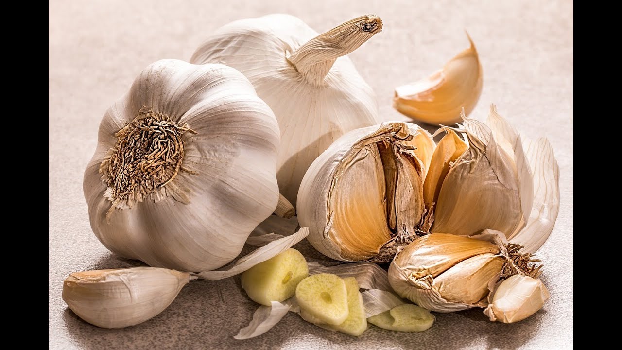 The Allium Adventure: Cooking with Elephant Garlic & Scapes