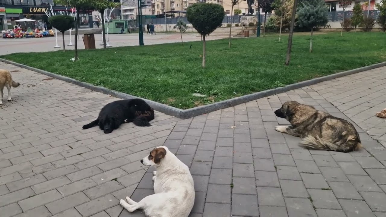 Ferizaj pamje prej Minirit 20. Oktober 2023