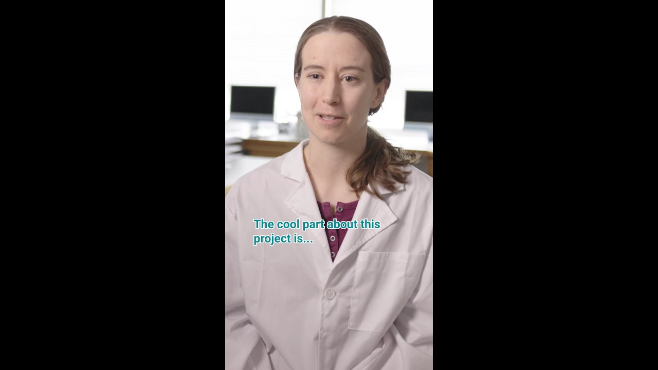 Who's ready for 2025? What's on your agenda? #science #basicscience #lablife #phdlife