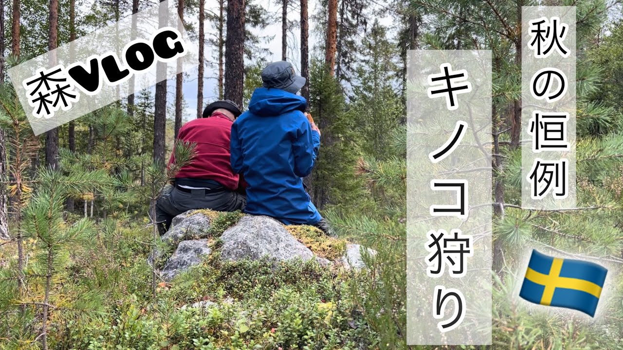 秋の恒例、森でキノコ狩り/スウェーデン北部在住の野生の目