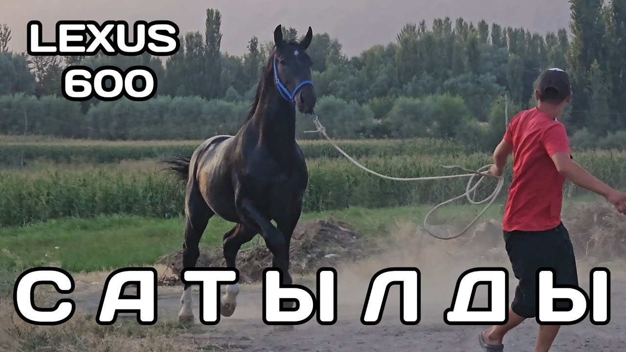САТЫЛДЫ ЛЕКСУС 600 