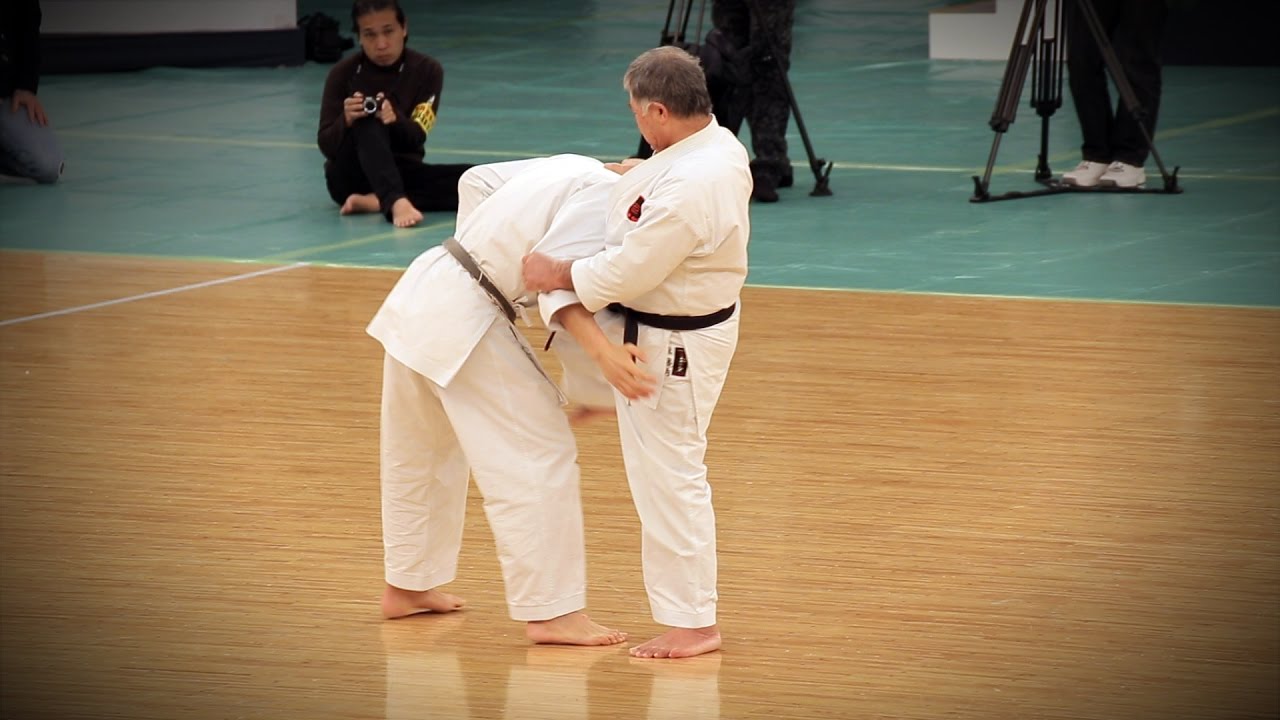 Karate gōjū-ryū (Okinawa bujutsu) - 39th Kobudo Enbutaikai Nippon Budokan 2016