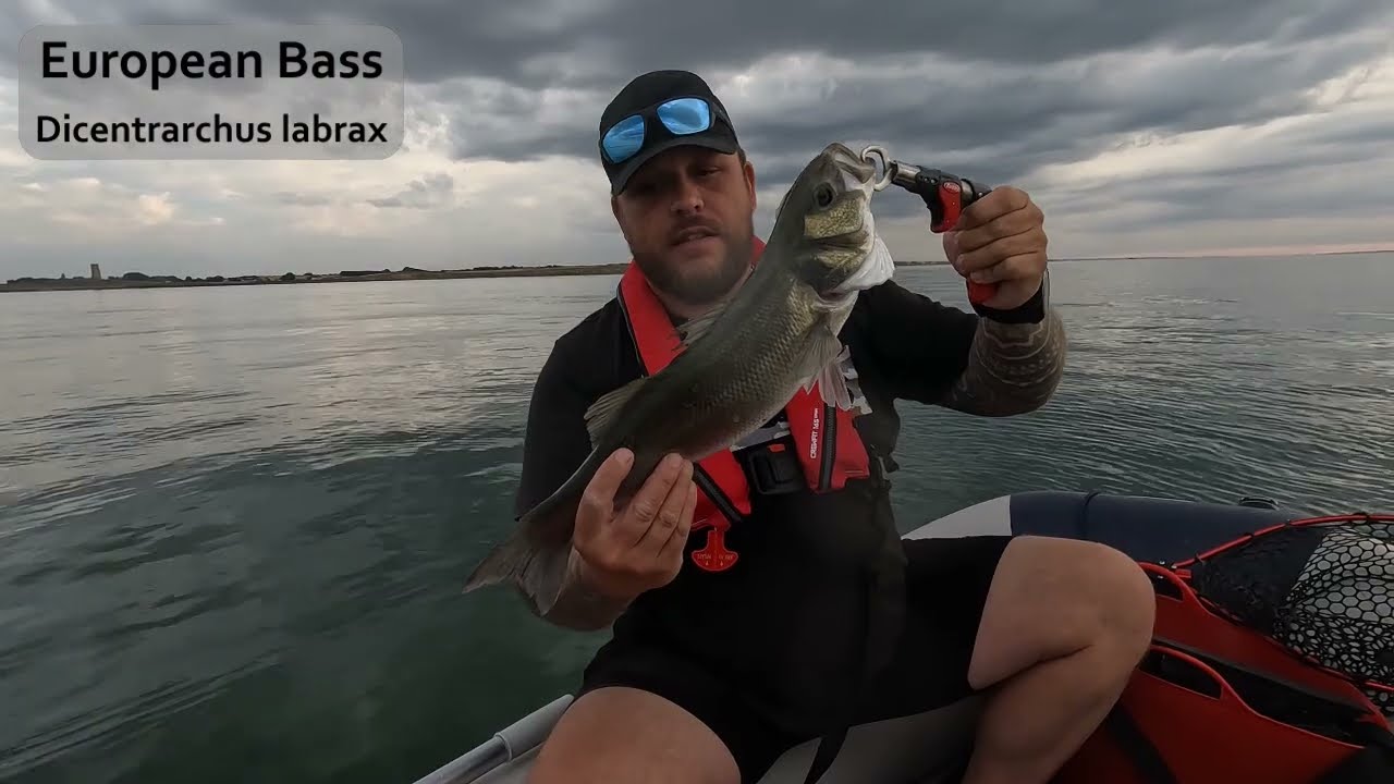 SIB Fishing UK | Bass Fishing in Extremely Weedy Conditions Around Herne Bay