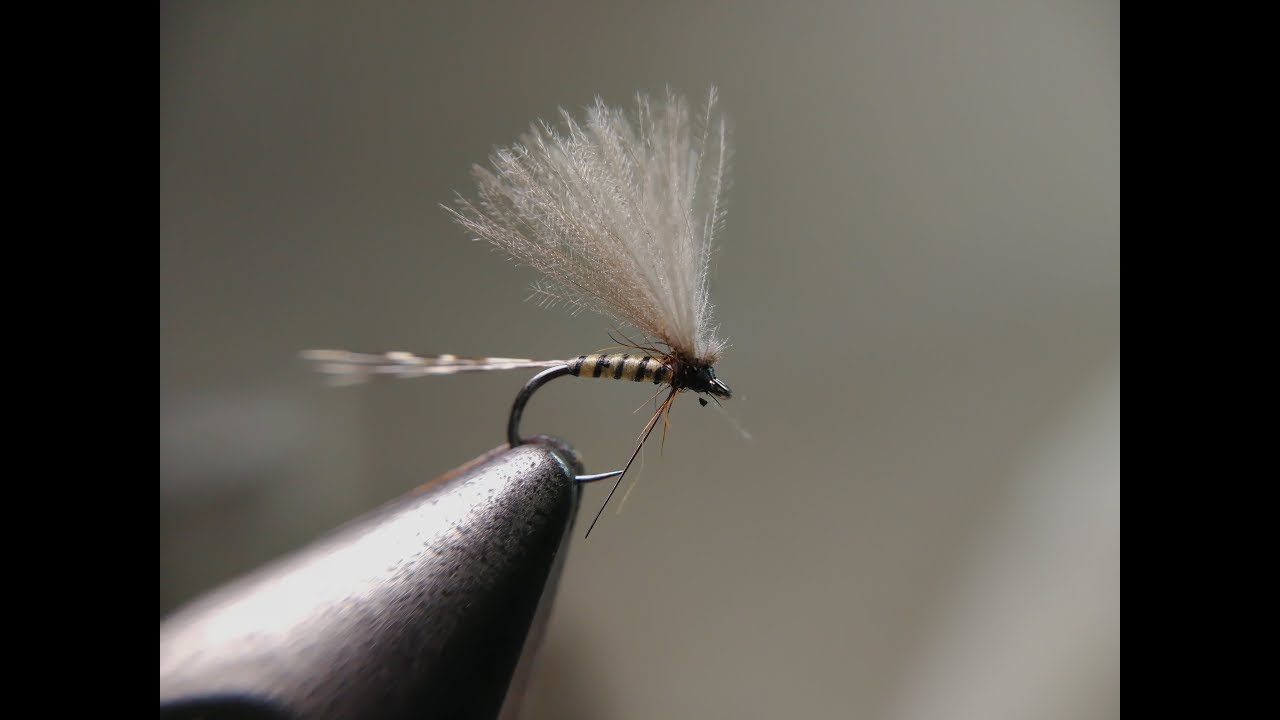 CDC mayfly size 20
