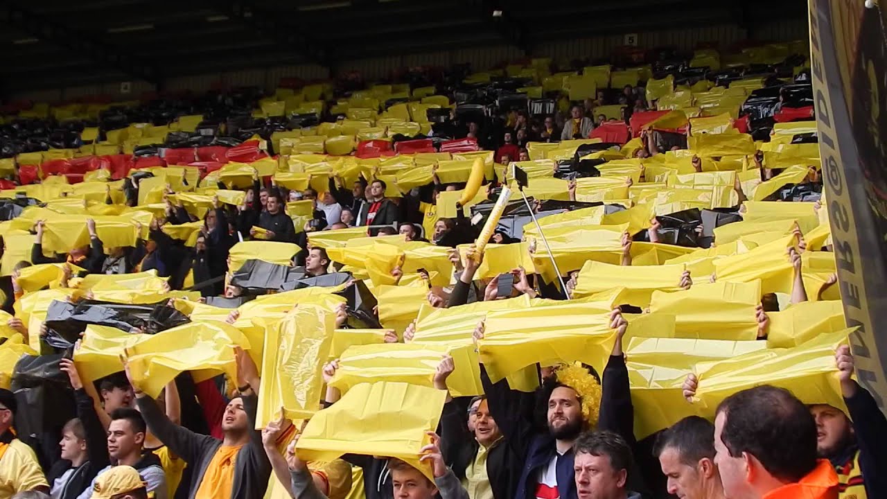 Fancam Watford vs Shefield wednesday 1881.