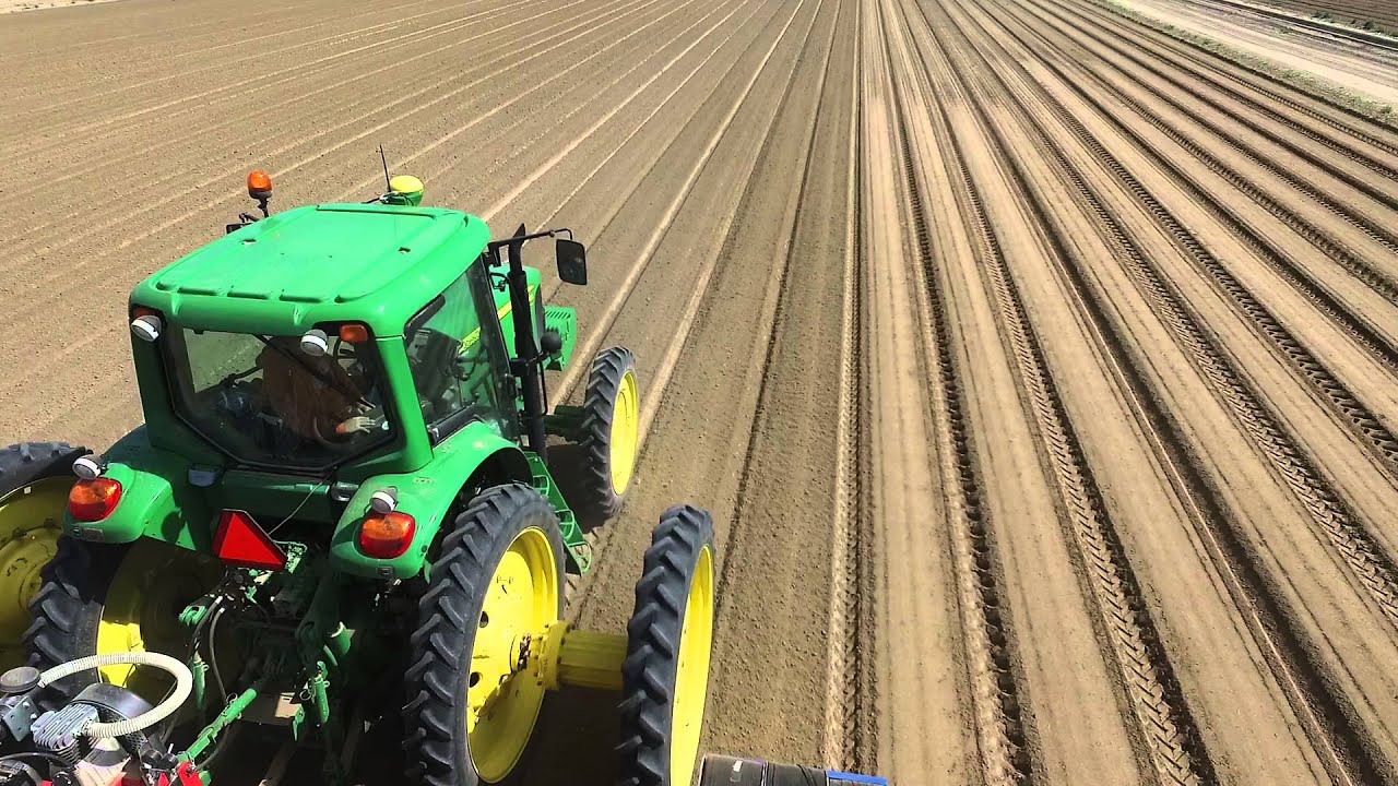 Onion Planting 2016