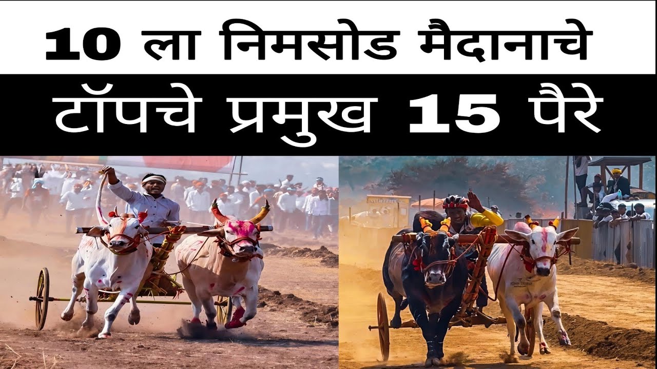 10 फेब्रुवारी 2026 रोजी निमसोड येथे होणाऱ्या ओपन मैदानात बकासुर मथूर लखन कोणत्या पैऱ्या मध्ये पळणार