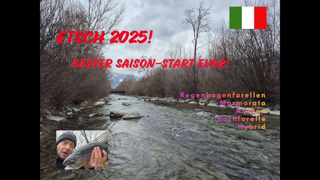 Fliegenfischen an der Etsch, Südtirol, Italien - Marmorata, Äschen, Regenbogenforellen, Bachforelle