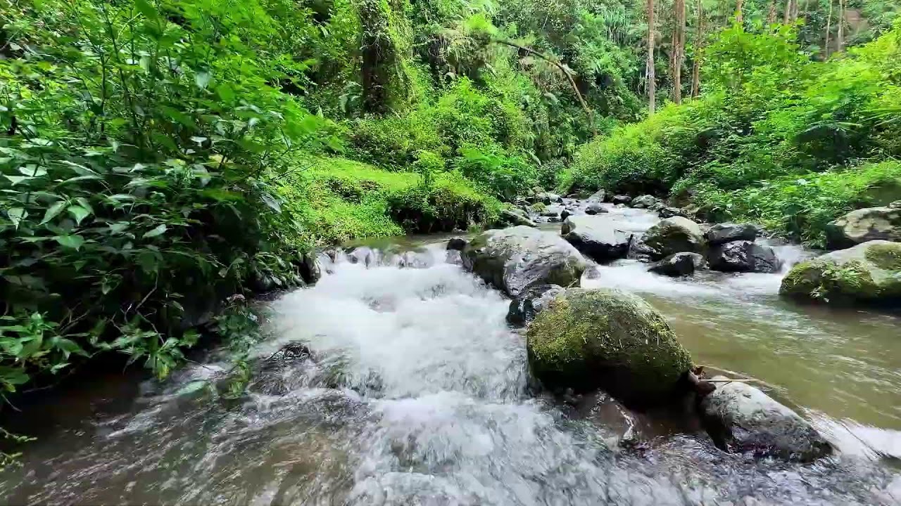 Calming river sound under cool sky guiding peaceful deep sleep into morning hours