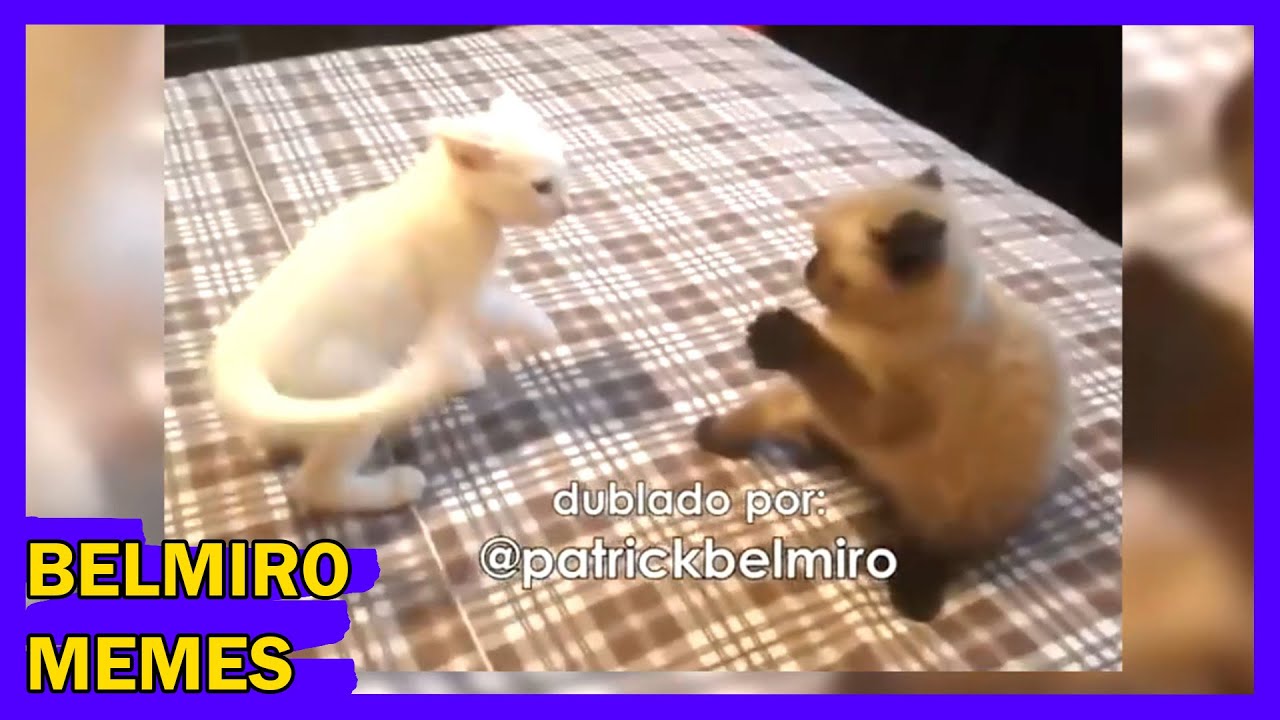 Belmiro Memes: Dublagens de animais engra&ccedil;ados - Epis&oacute;dio 163