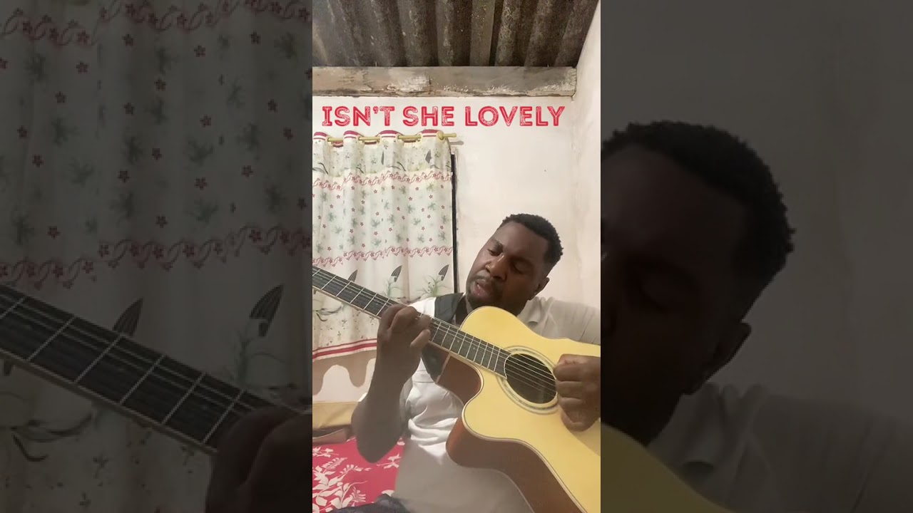 Isn't she lovely cover instrumental BU Amauri Mariano!