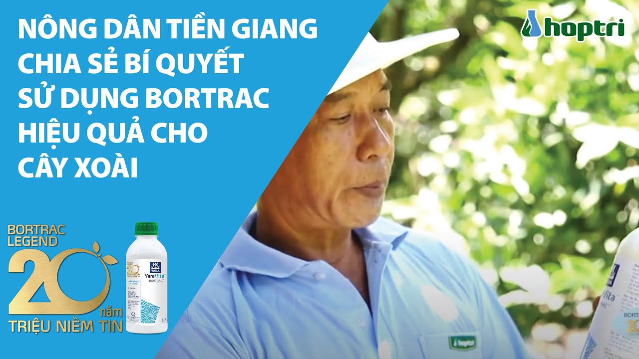 Nông dân Tiền Giang chia sẻ bí quyết sử dụng Bortrac hiệu quả cho cây xoài
