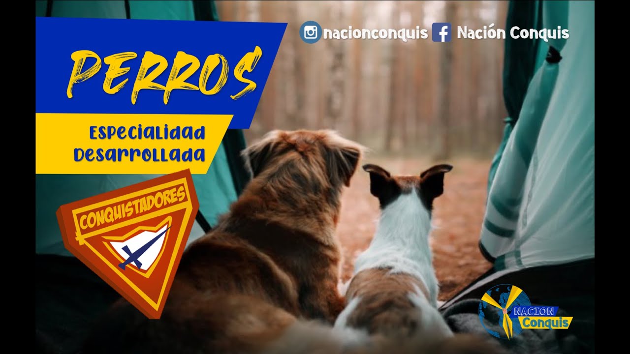 Especialidad de Perros (Desarrollada) Conquistadores - Guías Mayores