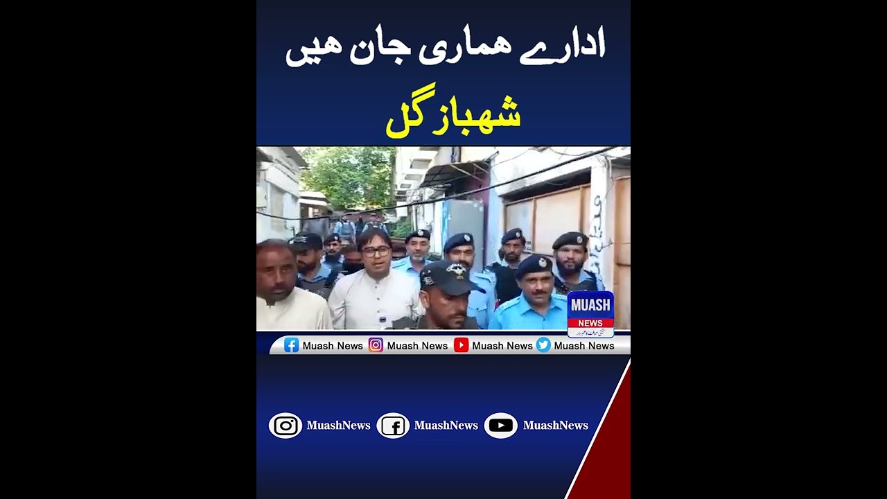 Institutions are our life Shahbazgul#Shahbazgul#imrankhan #pti #shorts #muashnews