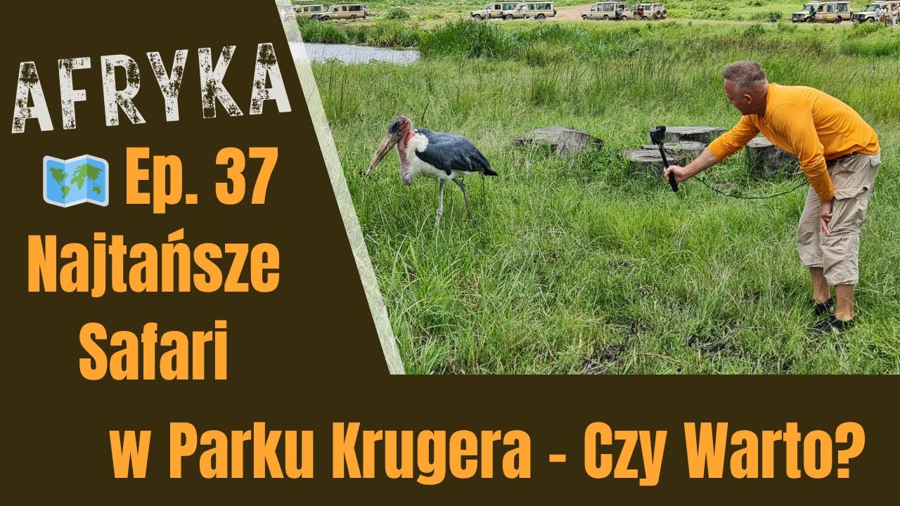 Ep. 37: Najtańsze Safari w Parku Krugera - Czy Warto? | Niezapomniane Przygody w RPA i Zwierzęta#RPA