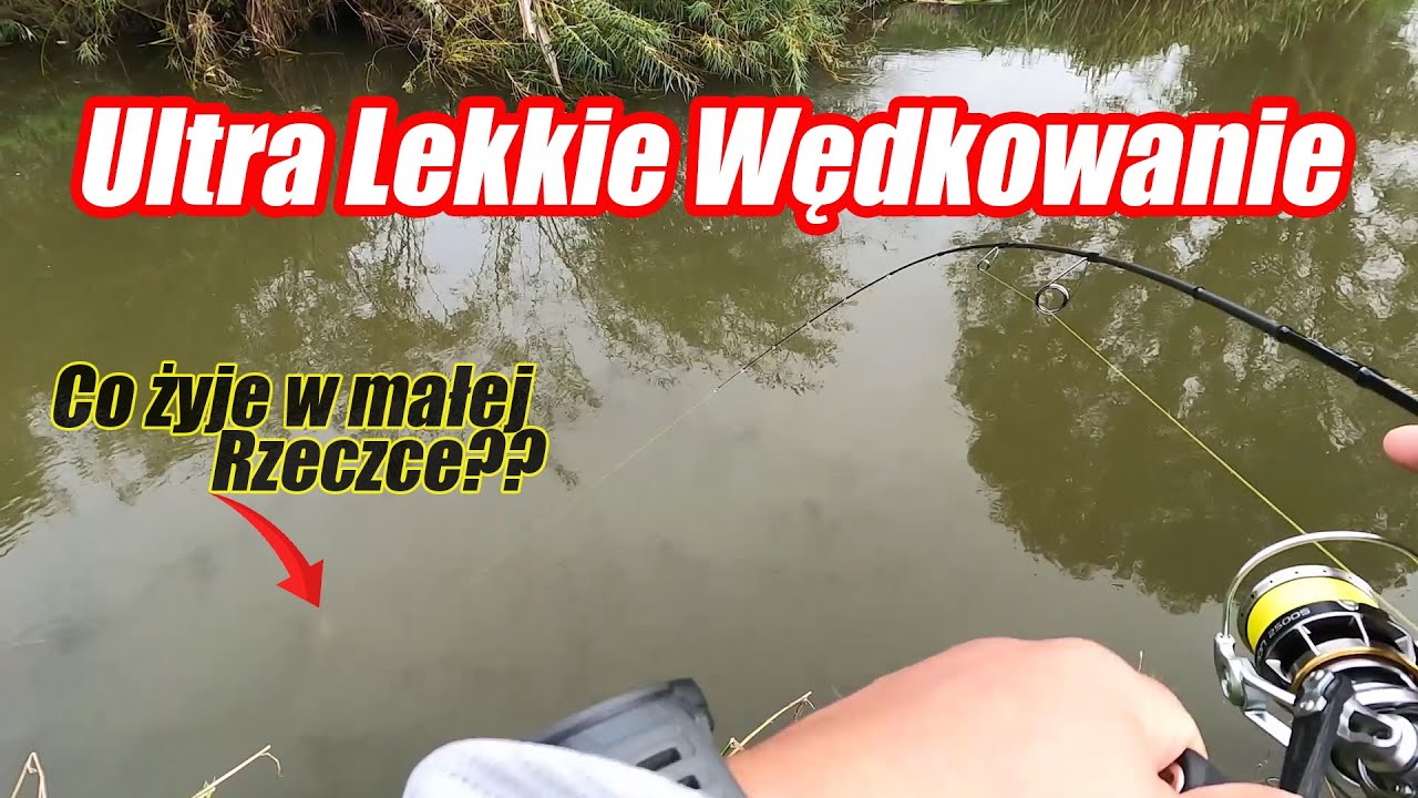 MASA RYB I Nowy Rekord z Małej Rzeczki !! TO MIEJSCE WCIAŻ MNIE ZASKAKUJE!!  | ULTRALIGHT FISHING!!