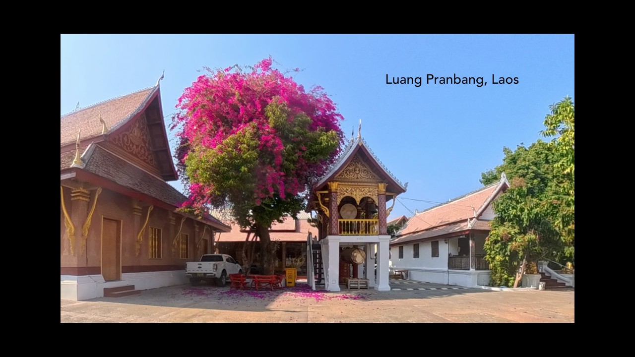 Luang Prabang Monk Drum Ceremony at 4PM 🥁 | Laos
