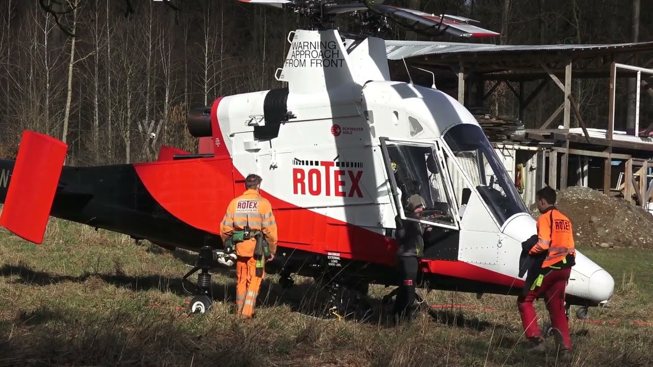 Spektakuläre Fällung von Eschen am Aarehang bei Engehalde und Lorraine