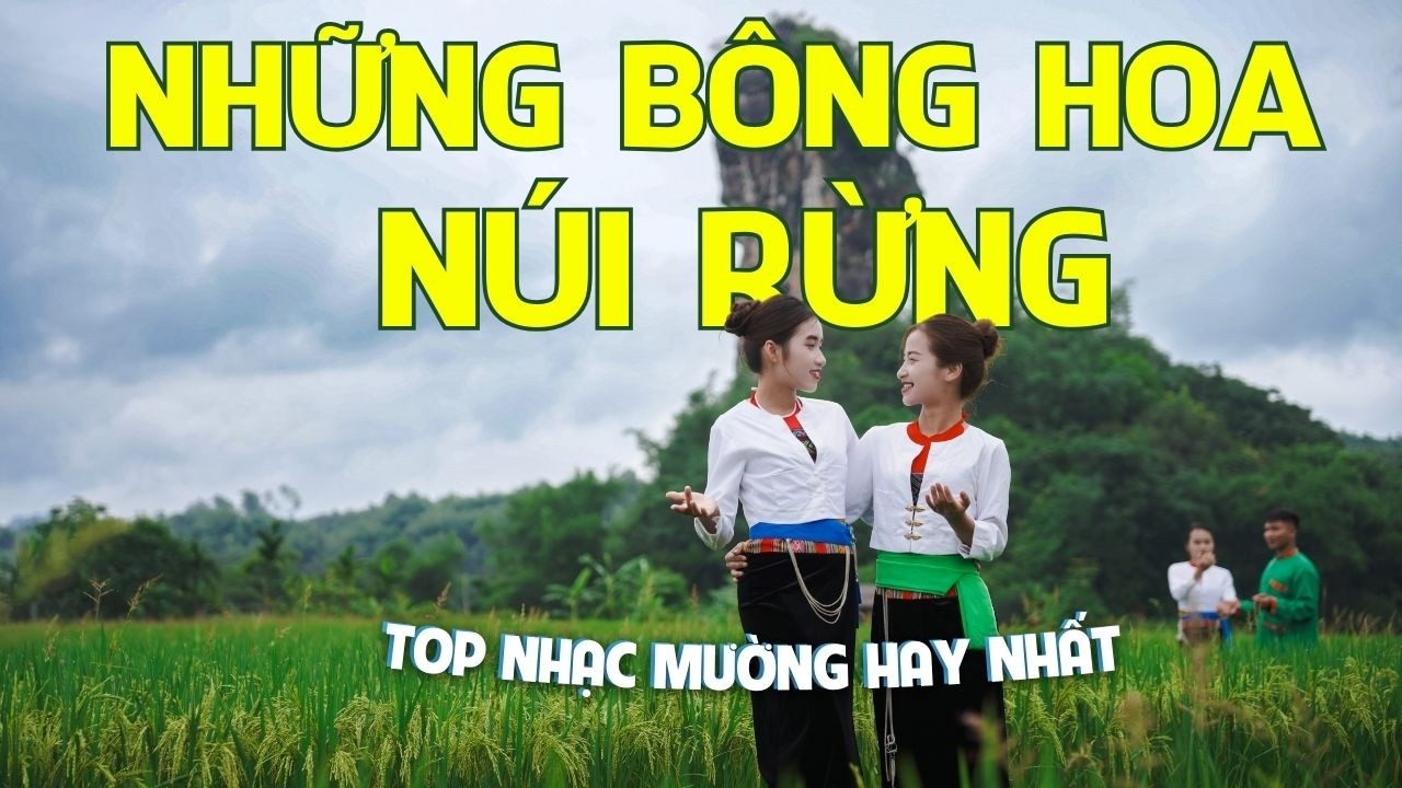 Top Nhạc Mường Hay Nhất | Những Bông Hoa Núi Rừng
