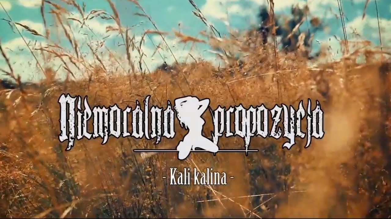 NIEMORALNA PROPOZYCJA - Kali kalina (Oficjalny teledysk)  █▬█ █ ▀█▀