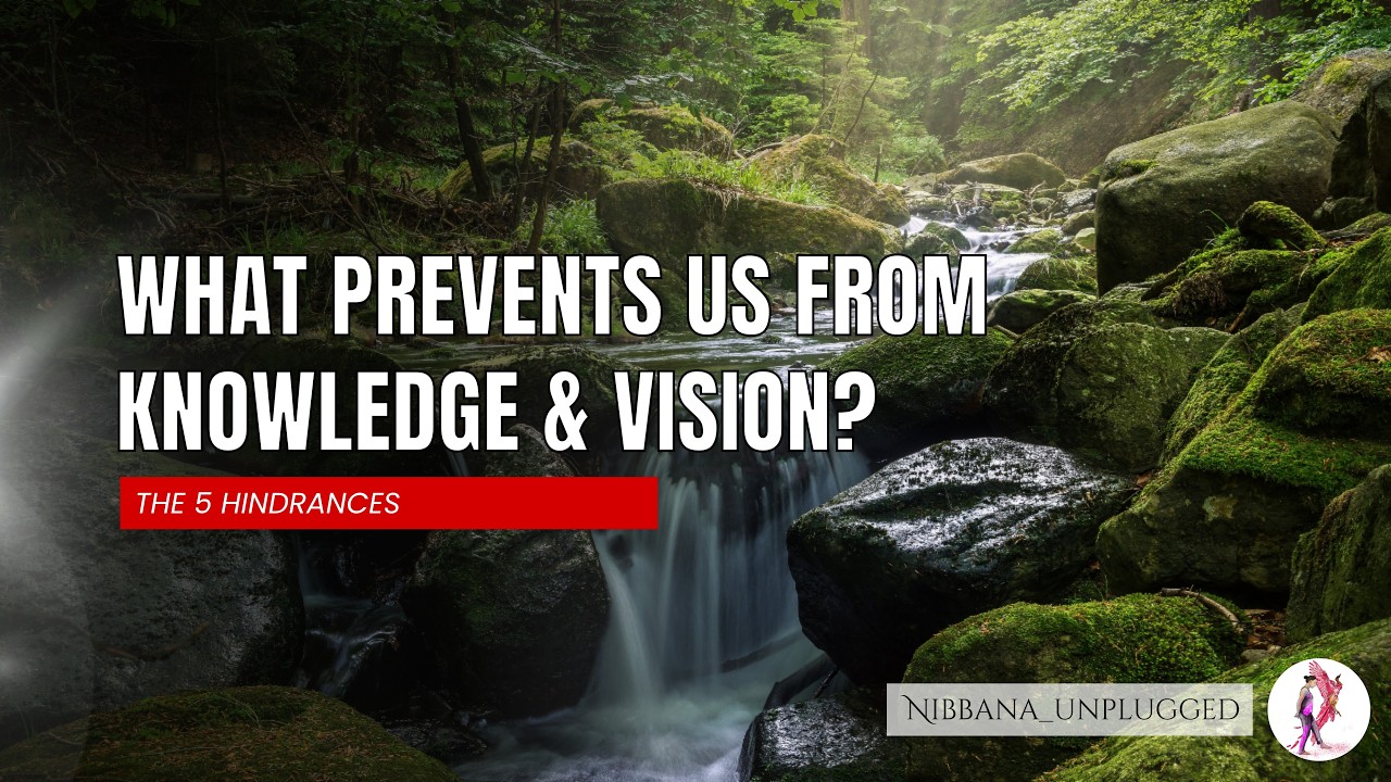 What prevents us from knowledge and vision? Refining the mind