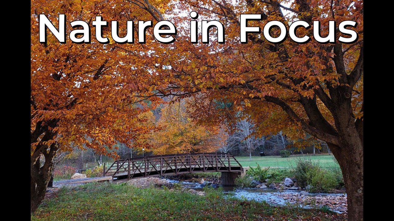 Nature Photography-Landscapes and botanical details