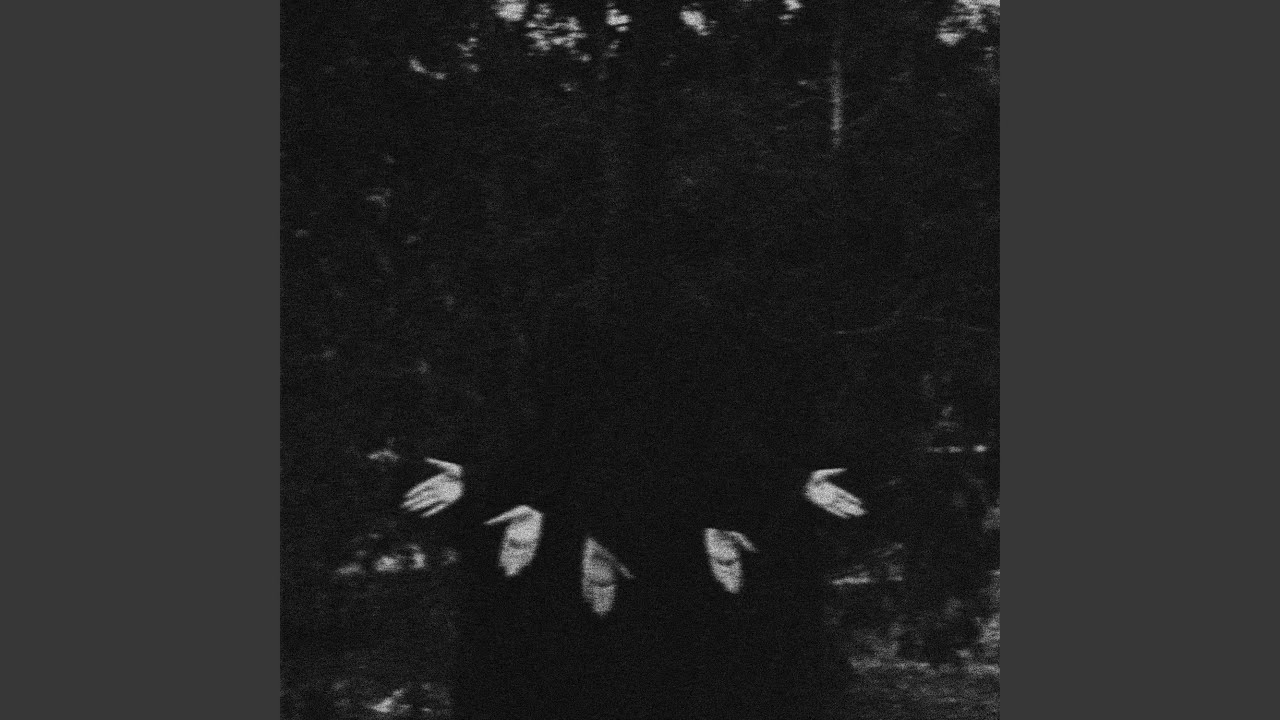 Shadows
