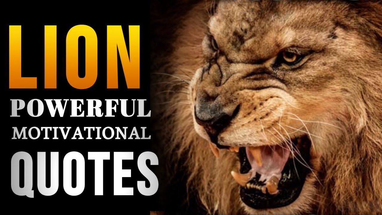 Lion POWERFUL Motivational Quotes | Lion | The King | The Legend | Quotes