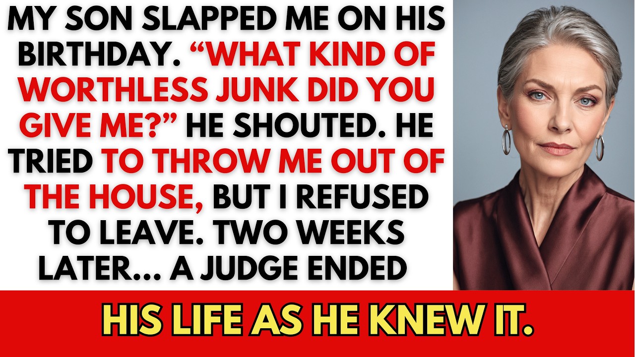 My Son Slapped Me On His Birthday —Two Weeks Later, A Judge Took Everything From Him...