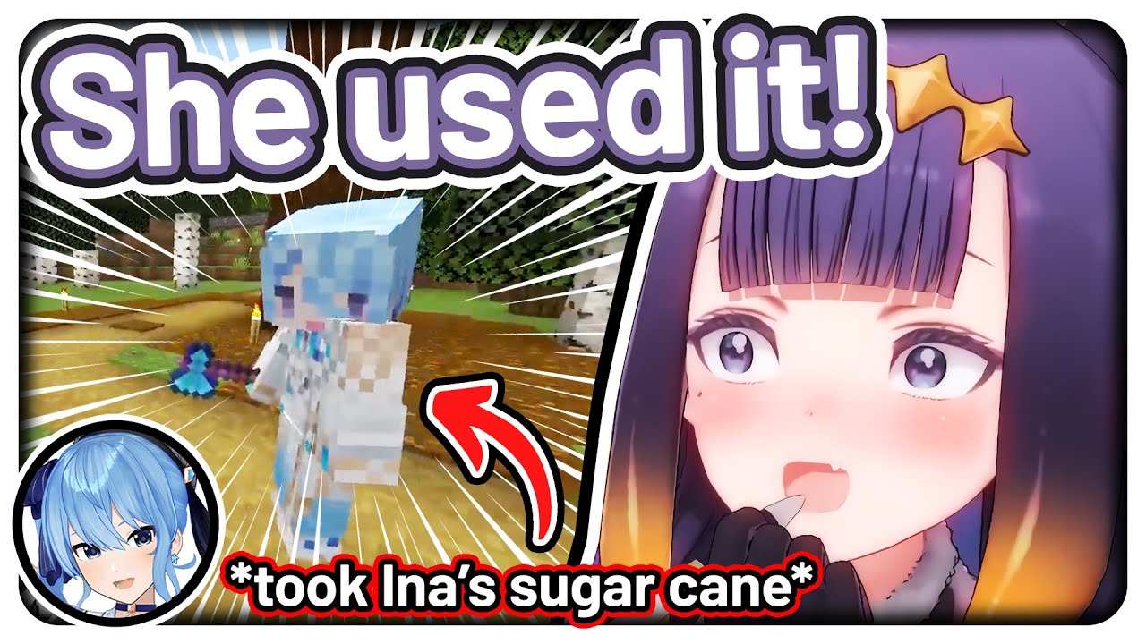 *Suisei took Ina's sugar cane* Ina: 【Hololive】