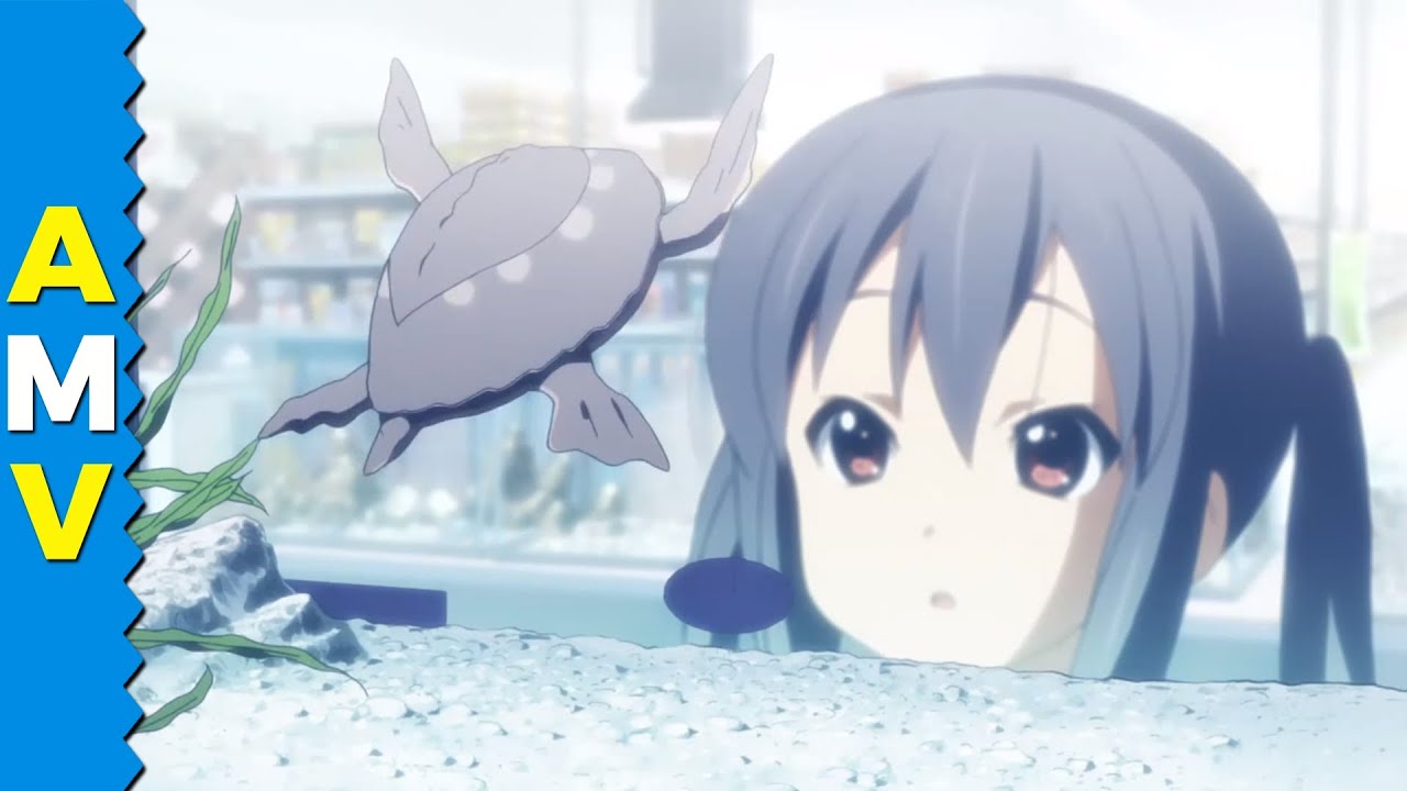 For Ton-chan Lovers「AMV」