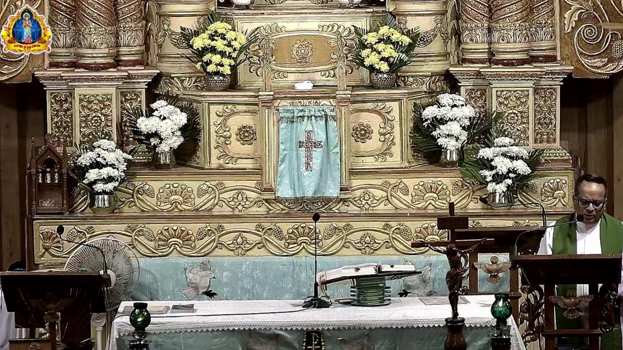 Fifth Sunday In Ordinary Time,  8th Feb 2026.