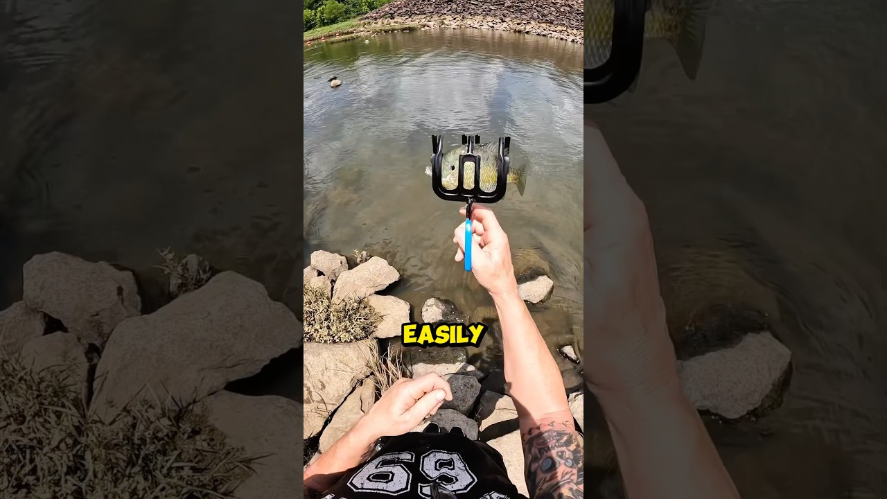 Он может поймать рыбу, не прикасаясь к ней 🐟