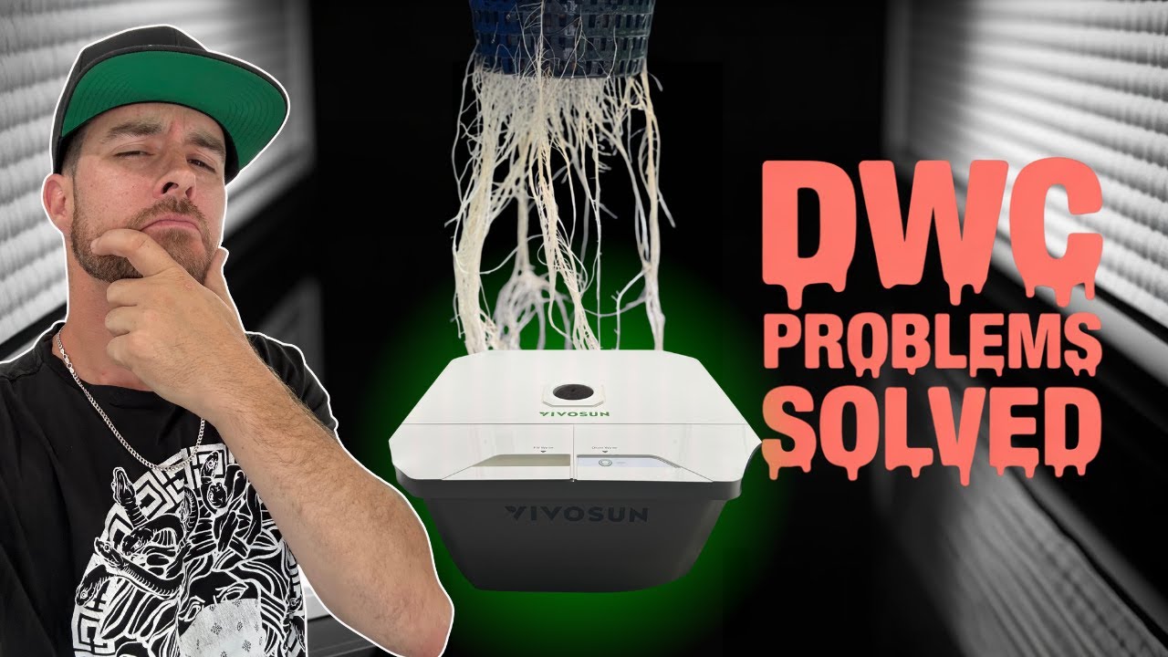 Struggling with DWC? | Try This!