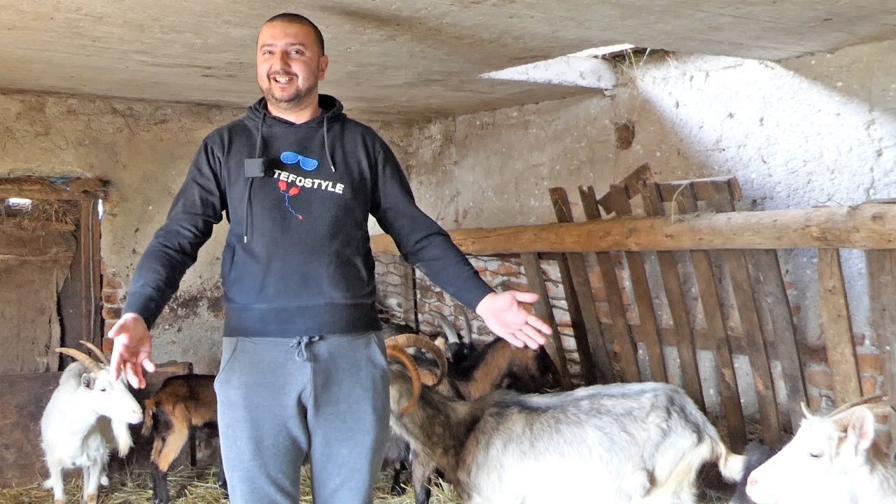 Neradniku je i u firmi teško, meni ništa nije mrsko