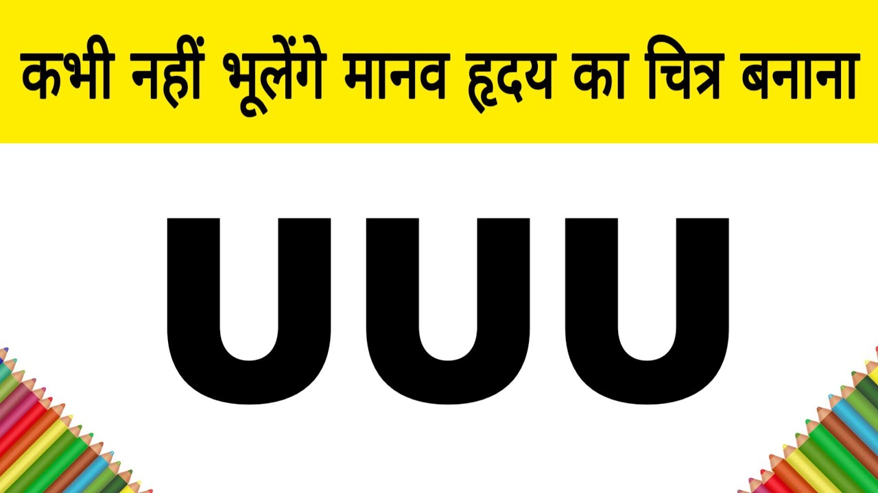 कभी नहीं भूलेंगे ! मानव हृदय का चित्र बनाना | how to Draw a human heart step by step for beginners
