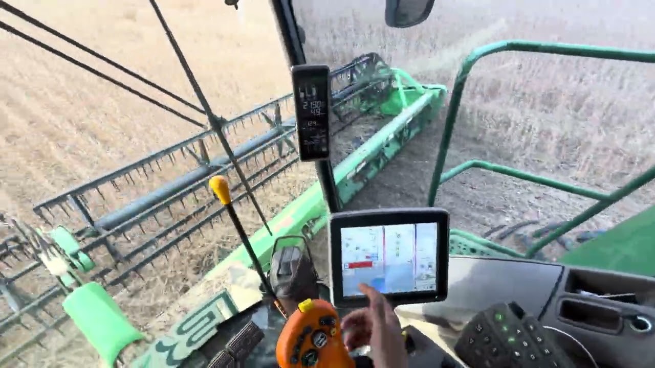 Excesso de chuva está atrapalhando a colheita em Mato Grosso/Variedade produzindo 85sc/ha!