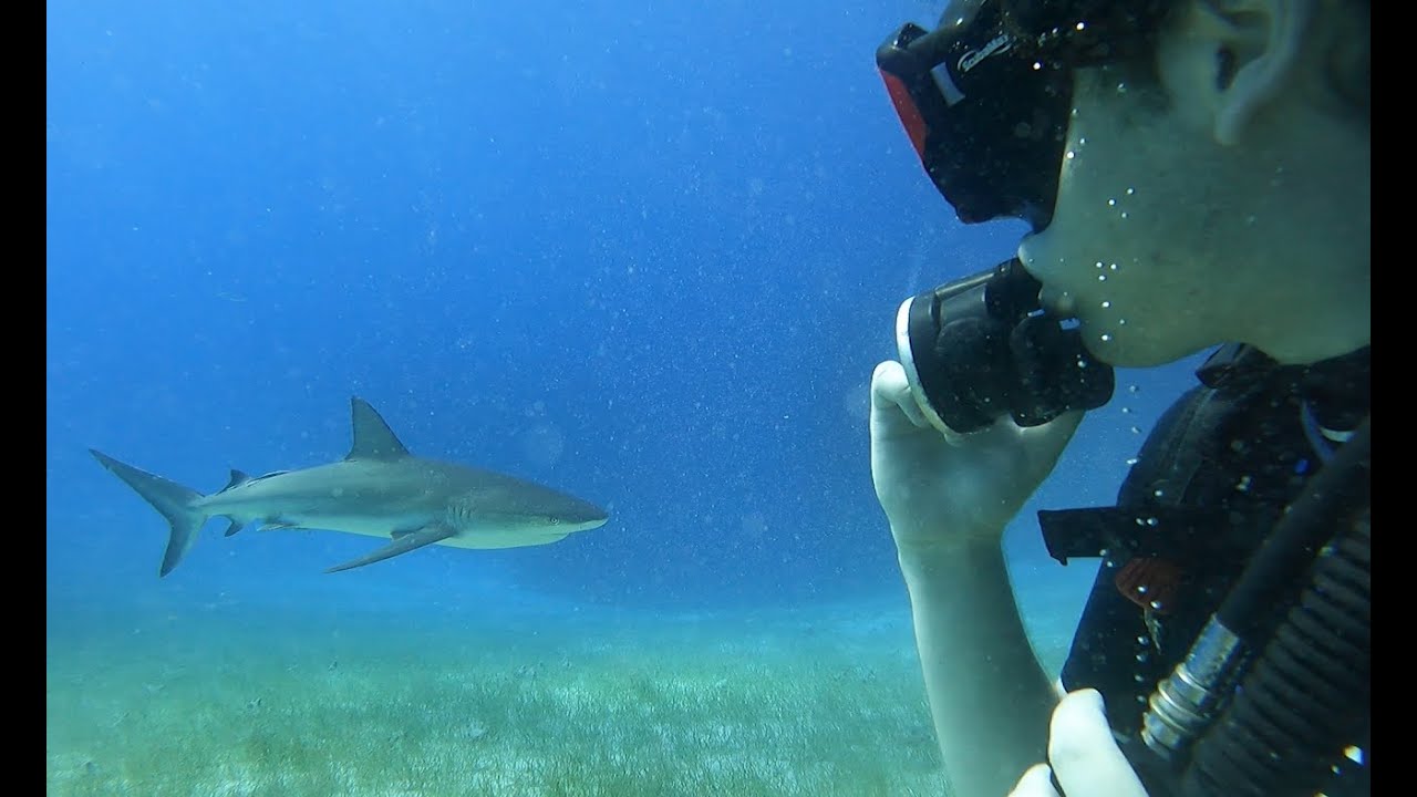 Belize Scuba Diving - Jobson Scuba